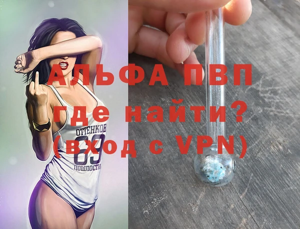 СК Богородицк