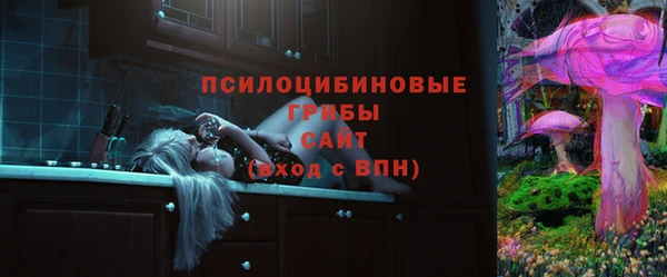 СК Богородицк