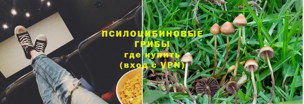 СК Богородицк