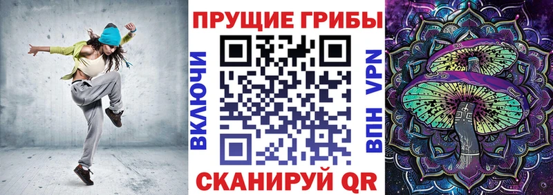 наркота  Щигры  Псилоцибиновые грибы ЛСД 