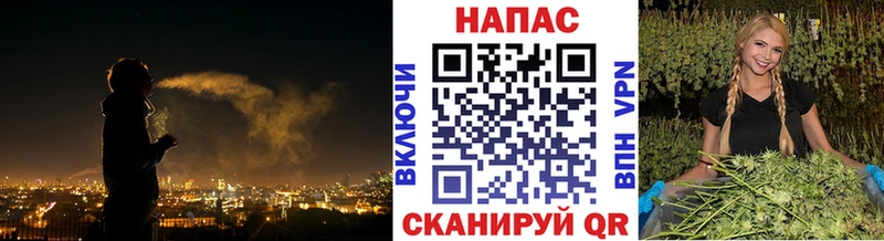 Каннабис AK-47  Щигры 